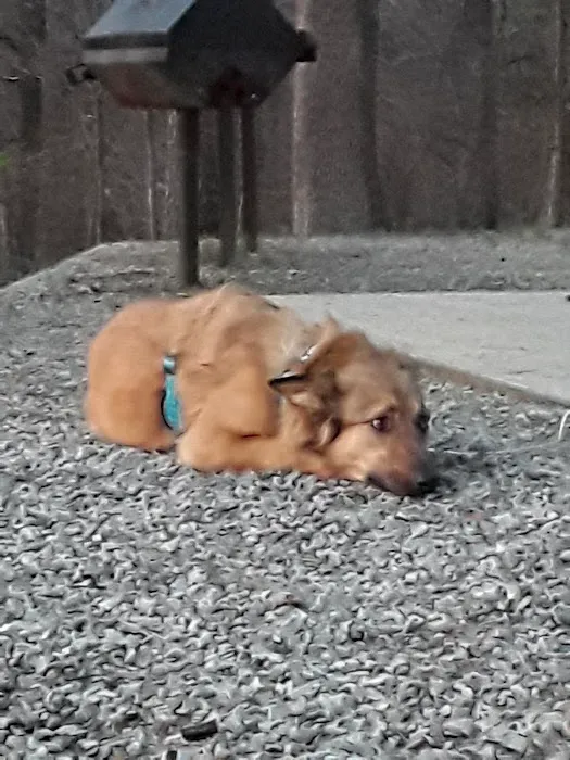 Banfield Pet Hospital Picture 4