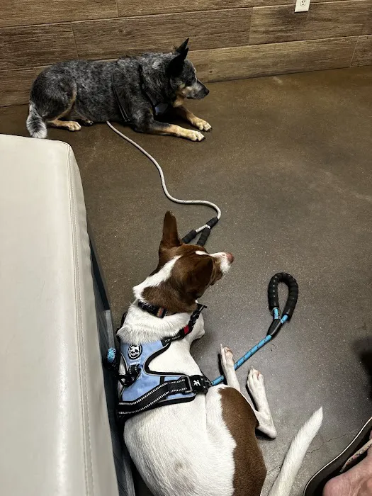 Foland Veterinary Services Picture 6
