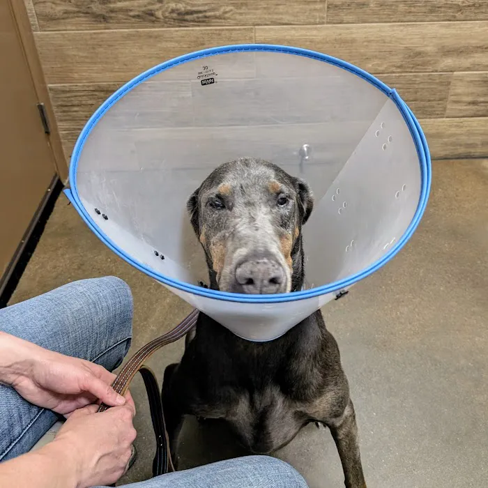 Foland Veterinary Services Picture 10