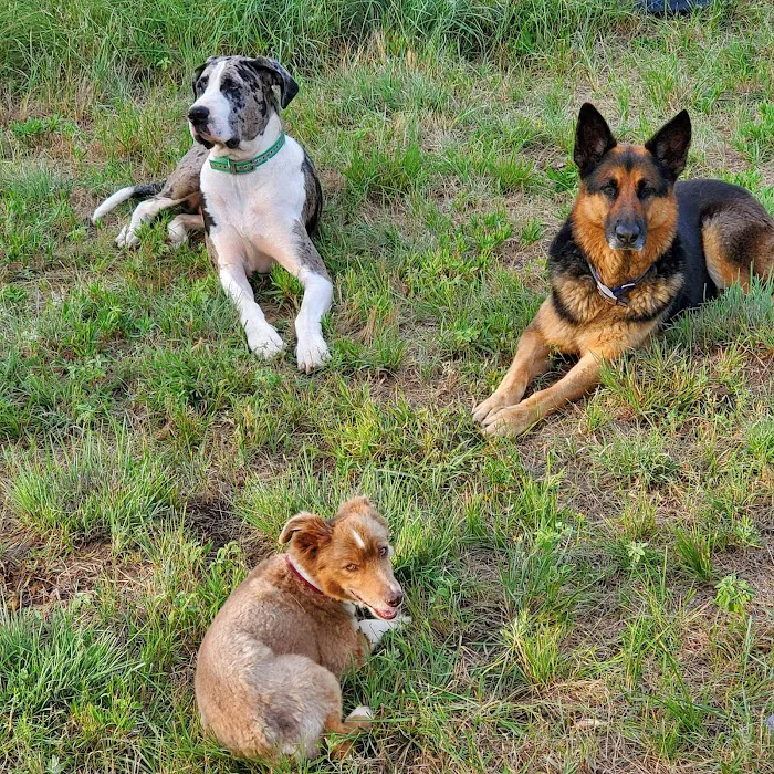 Bowie Drive Animal Hospital Picture 7