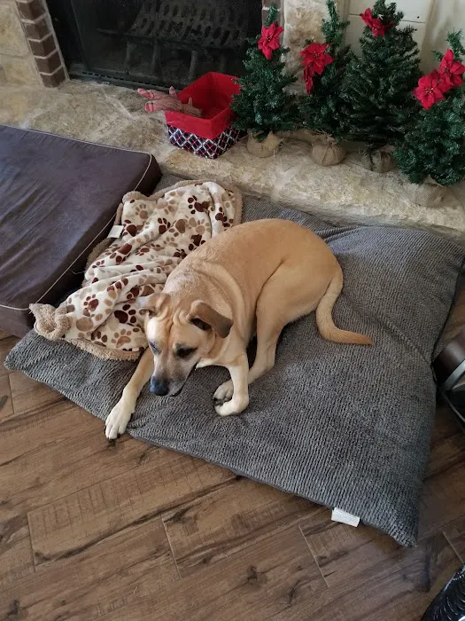 Bowie Drive Animal Hospital Picture 5