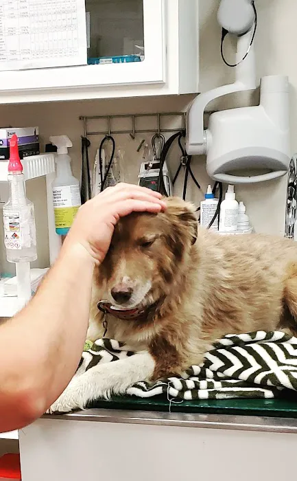 Bowie Drive Animal Hospital Picture 10