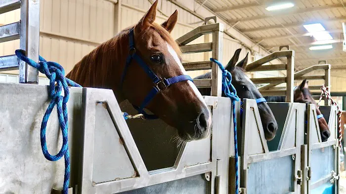 Outlaw Equine Hospital and Rehab Center Picture 6