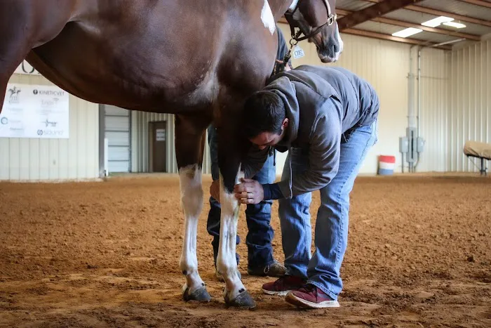 Outlaw Equine Hospital and Rehab Center Picture 5