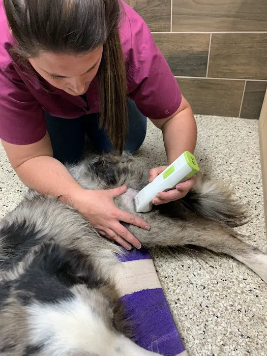 Heritage Veterinary Clinic Picture 8