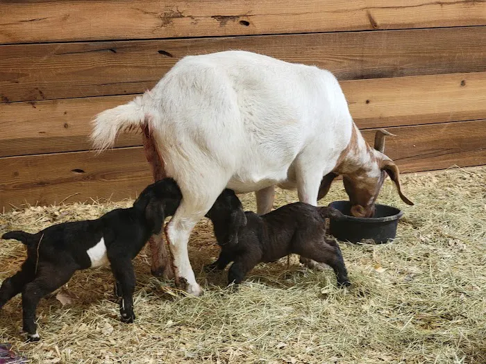 Heritage Veterinary Clinic Picture 7