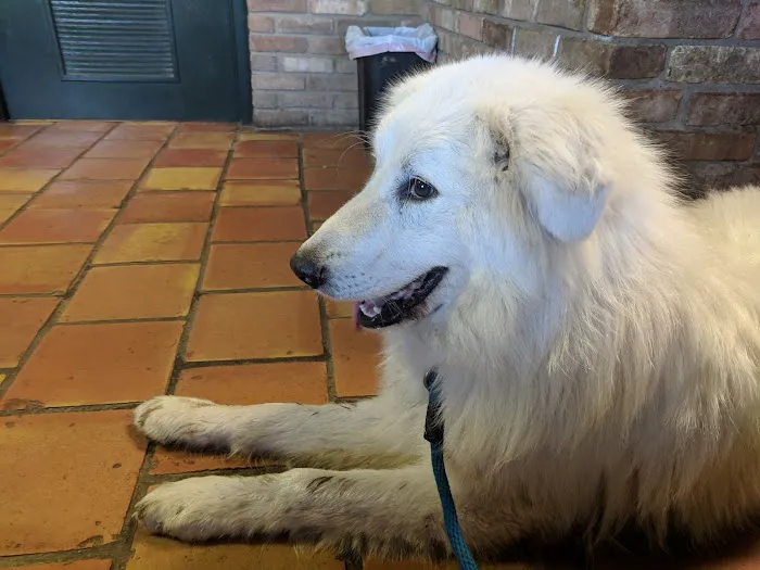 Decatur Veterinary Clinic Picture 1