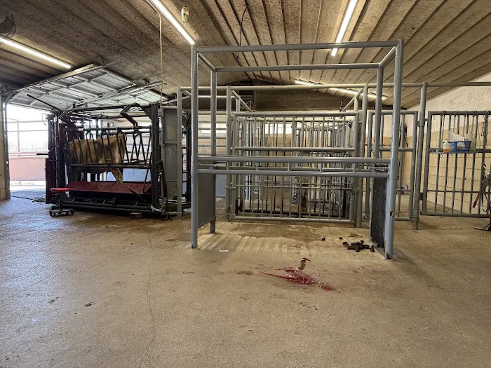 Decatur Veterinary Clinic Picture 4