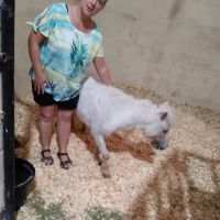 Weatherford Equine Medical Center P.C. ico