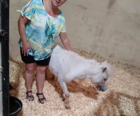 Weatherford Equine Medical Center P.C.
