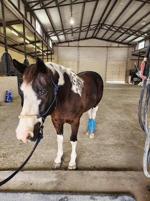 Weatherford Equine Medical Center P.C. Picture 4