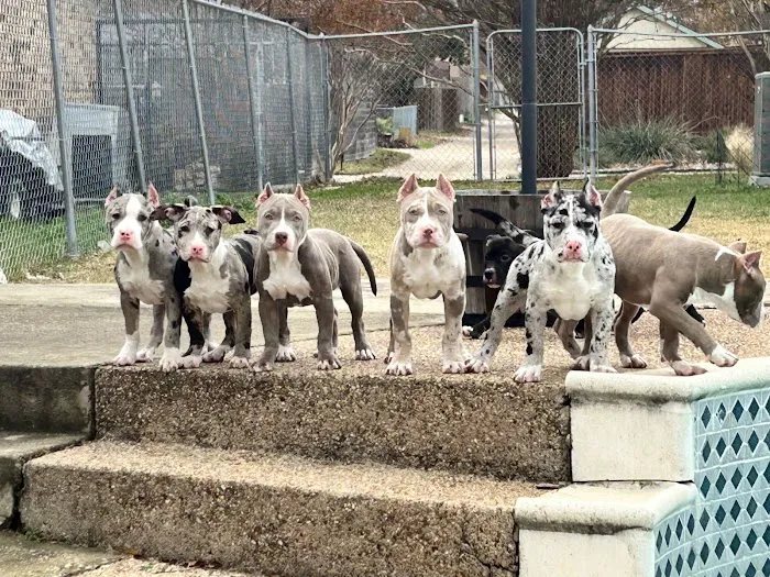 Weatherford Animal Clinic Picture 4