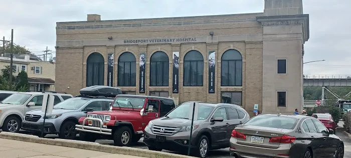Bridgeport Animal Hospital PLLC Picture 3