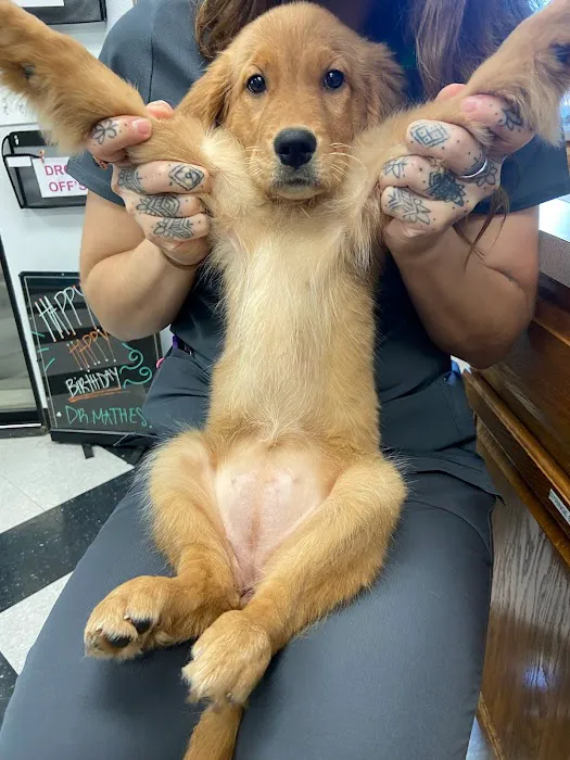 Allen Family Vet Picture 2