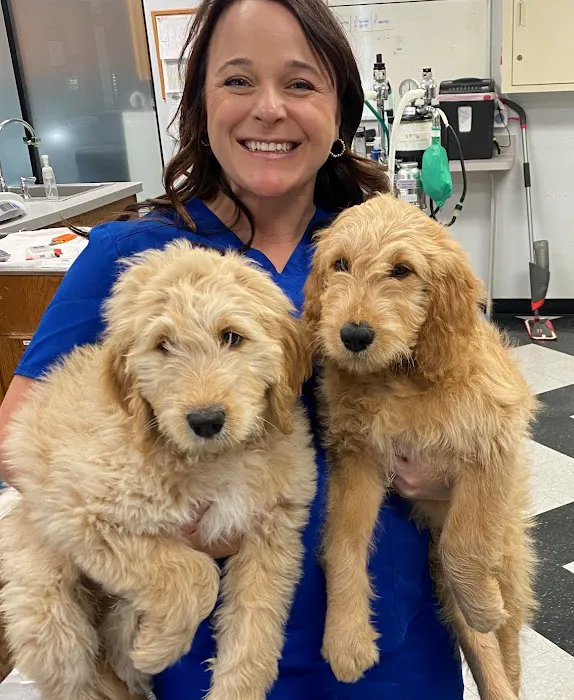 Allen Family Vet Picture 7