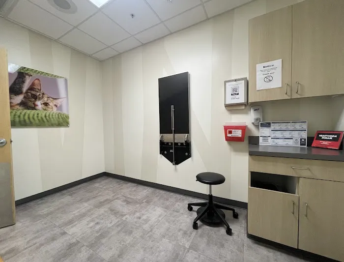 Vetco Total Care Animal Hospital Picture 3