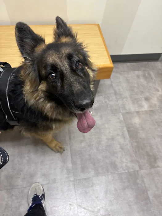 Vetco Total Care Animal Hospital Picture 5