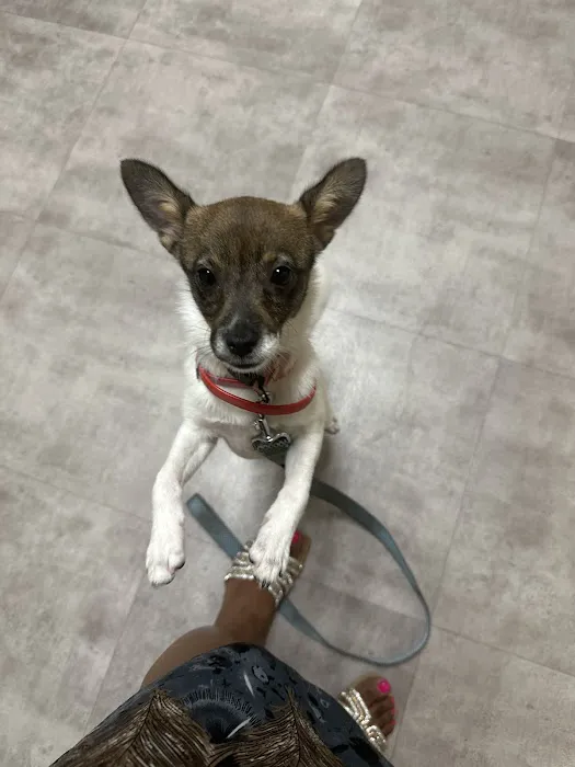 Vetco Total Care Animal Hospital Picture 9