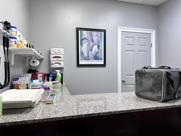 Allen Veterinary Hospital Picture 2