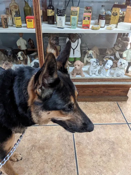 Allen Veterinary Hospital Picture 1