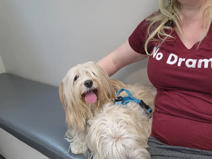 Allen Veterinary Hospital Picture 3