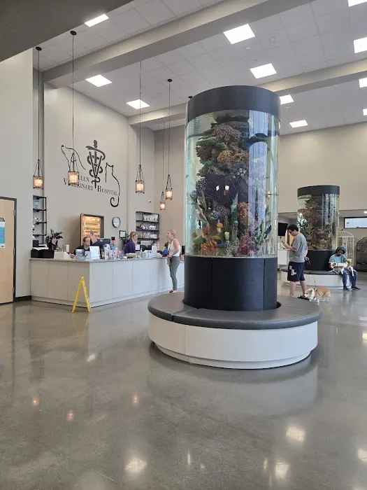 Allen Veterinary Hospital Picture 4