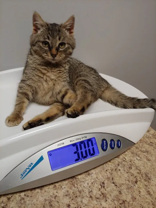 Allen Veterinary Hospital Picture 8