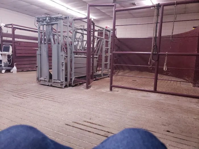 Allen Animal Clinic Picture 1