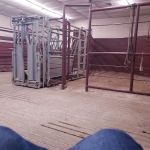 Allen Animal Clinic