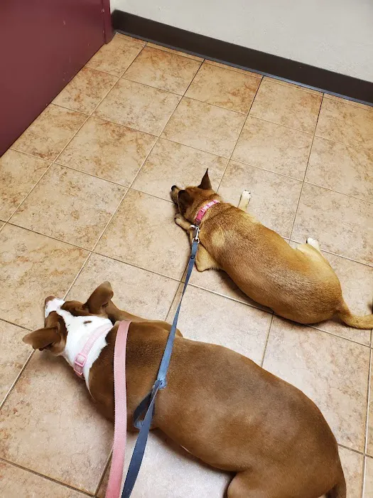 Allen Animal Clinic Picture 6