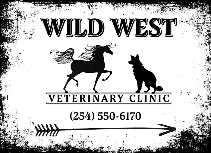 Wild West Veterinary Clinic Picture 5