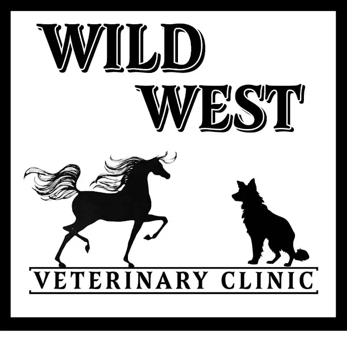 Wild West Veterinary Clinic Picture 3