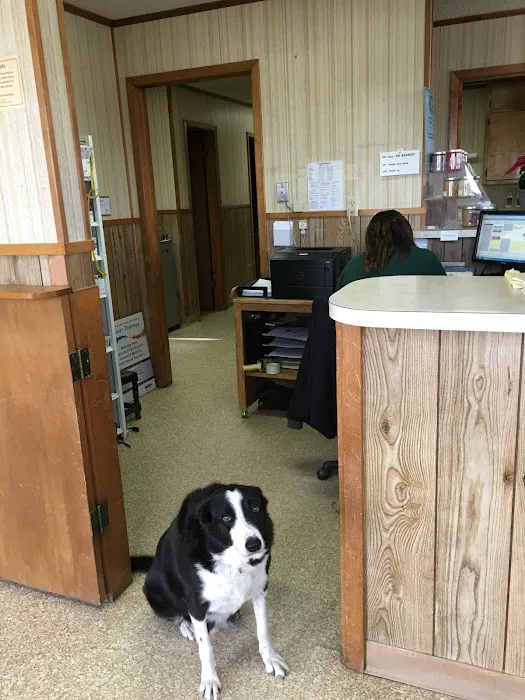 Clifton Veterinary Clinic Picture 2