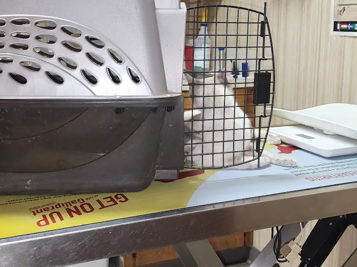 Clifton Veterinary Clinic Picture 5