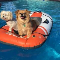 Granbury Animal Clinic - Pecan Plantation ico