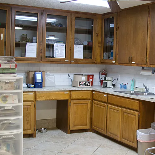 Acton Animal Hospital Picture 5