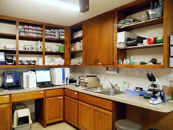 Acton Animal Hospital Picture 7