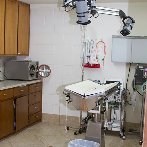 Acton Animal Hospital Picture 10