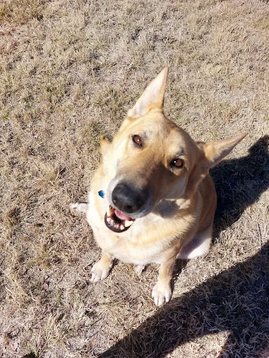 La Paloma Small Animal Hospital Picture 2