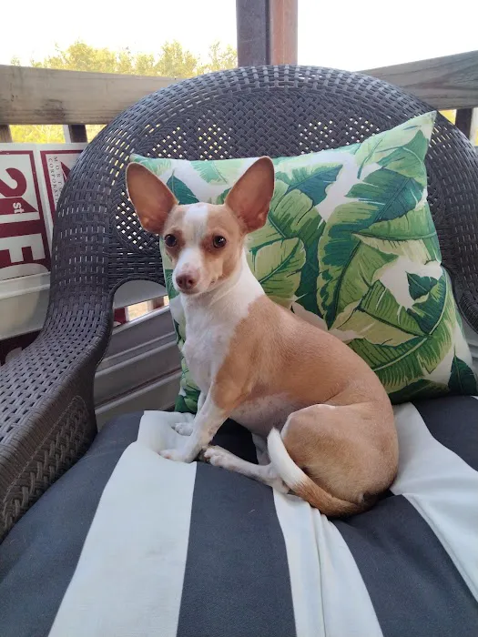 La Paloma Small Animal Hospital Picture 7
