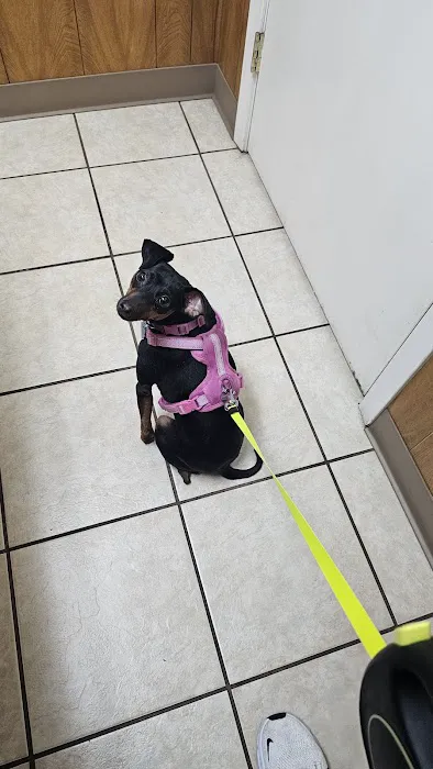 Farmersville Veterinary Clinic Picture 2
