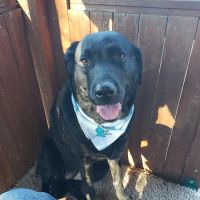 Farmersville Veterinary Clinic ico