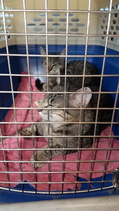 All Heart Veterinary Center Picture 2