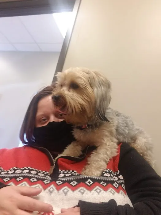 All Heart Veterinary Center Picture 1