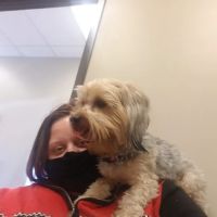 All Heart Veterinary Center ico