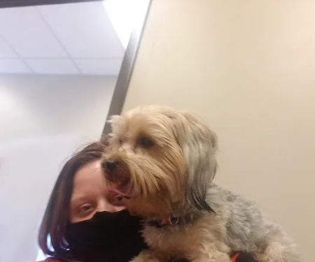 All Heart Veterinary Center