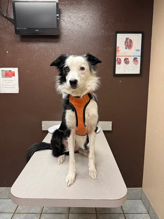 Van Zandt Veterinary Hospital Picture 5