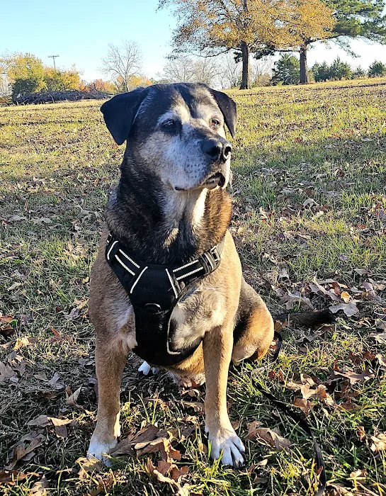 Van Zandt Veterinary Hospital Picture 6
