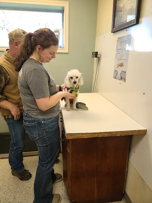 Hunt County Animal Hospital Picture 2