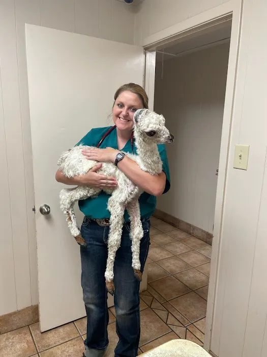 Canton Veterinary Clinic Picture 2
